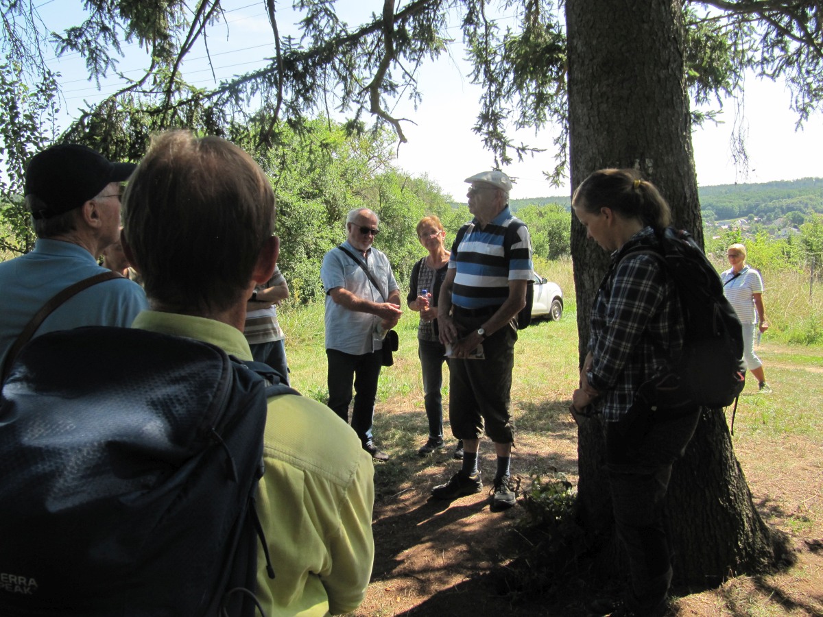Waldbegehung_2026-07-25