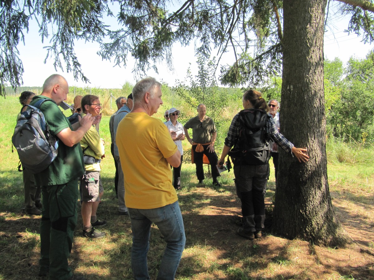 Waldbegehung_2026-07-25