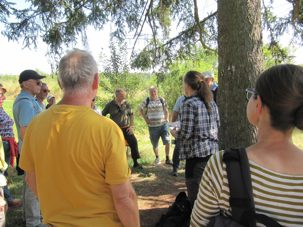 Waldbegehung_2026-07-25