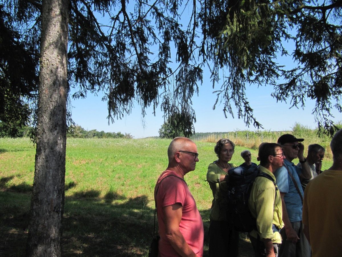 Waldbegehung_2026-07-25