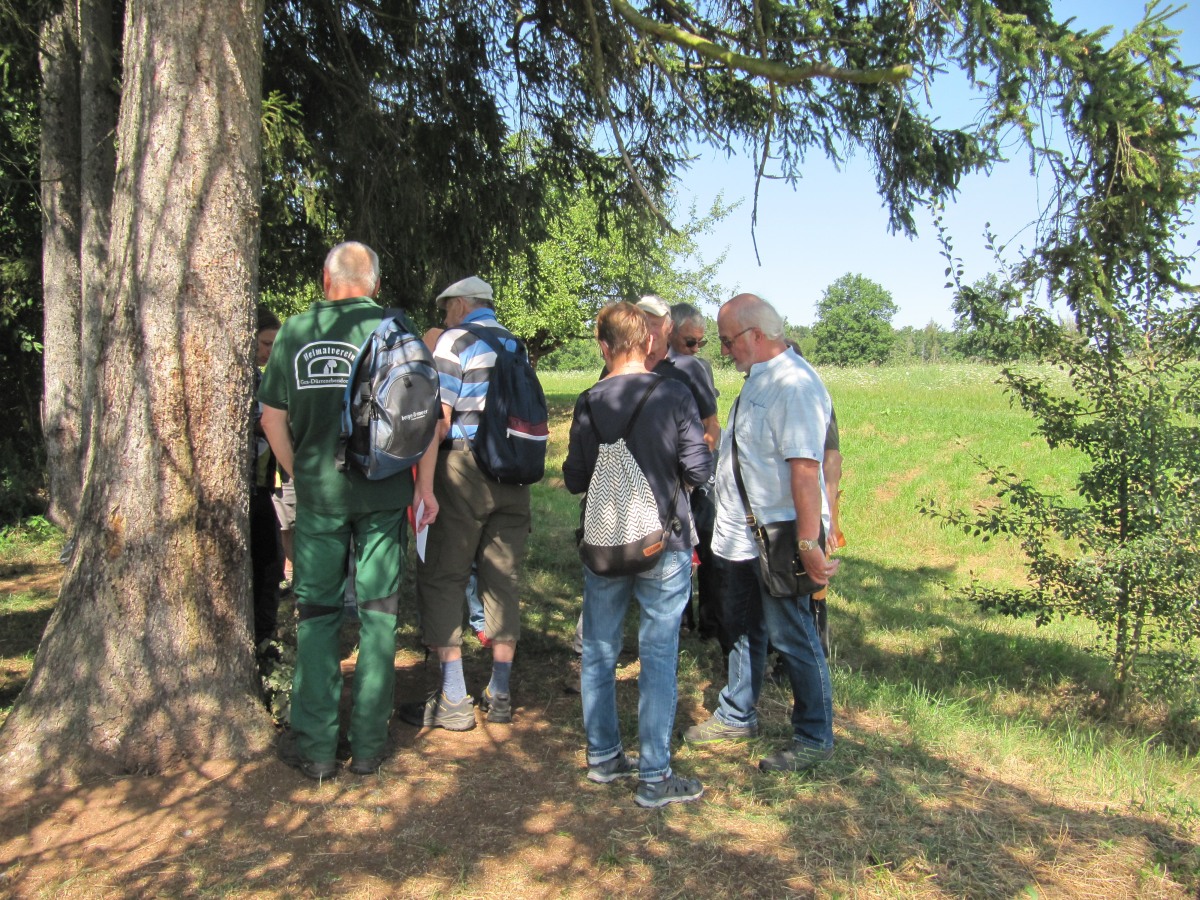 Waldbegehung_2026-07-25