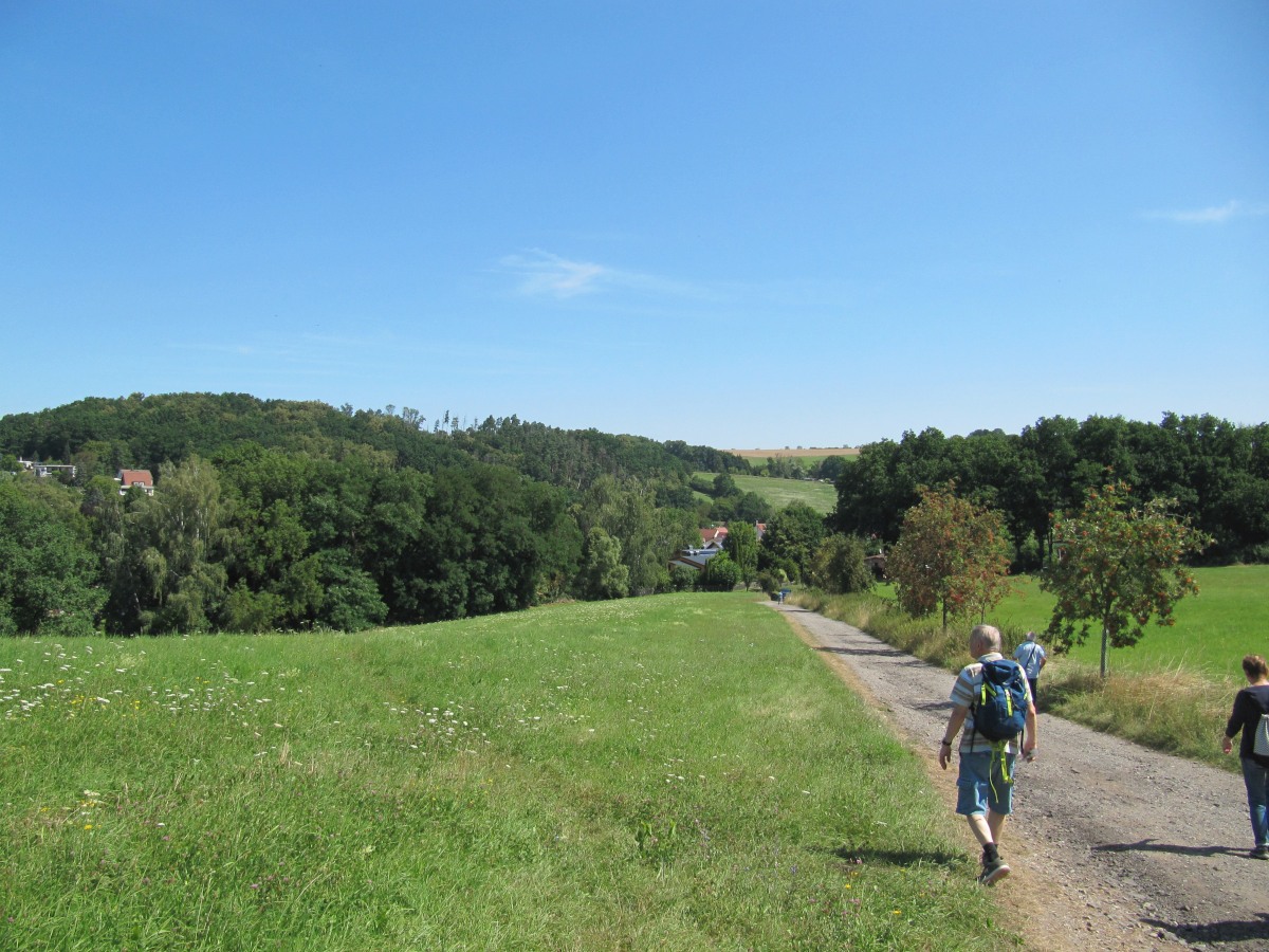 Waldbegehung_2026-07-25