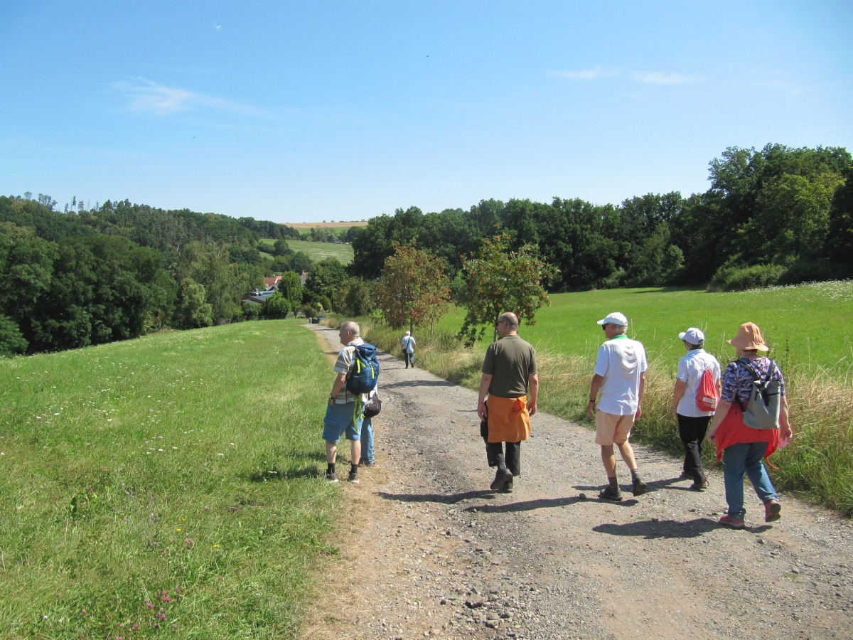 Waldbegehung_2026-07-25